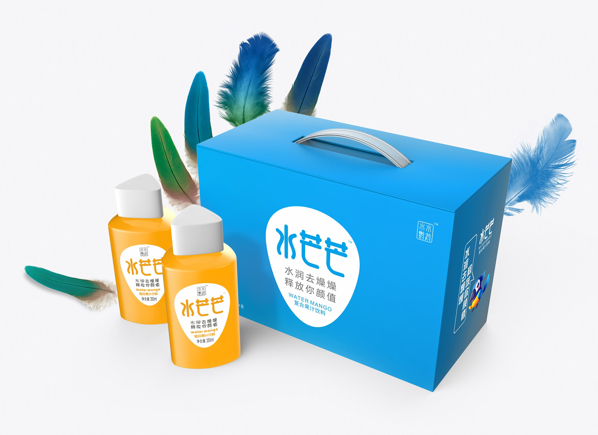復(fù)合果汁飲料包裝策劃設(shè)計